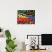 Poster Pays-Bas, Hollande, Lisse, Keukenhof Gardens (Bureau à domicile)