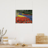 Poster Pays-Bas, Hollande, Lisse, Keukenhof Gardens (Cuisine)