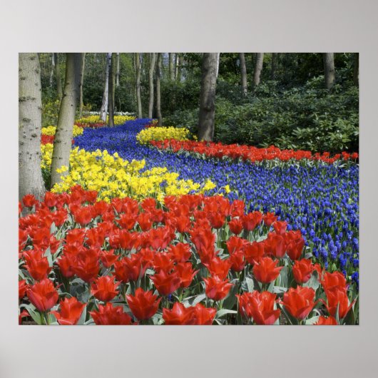 Poster Pays-Bas, Hollande, Lisse, Keukenhof Gardens (Devant)