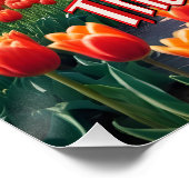 Poster Pays-Bas Windmill & Tulips (Coin)