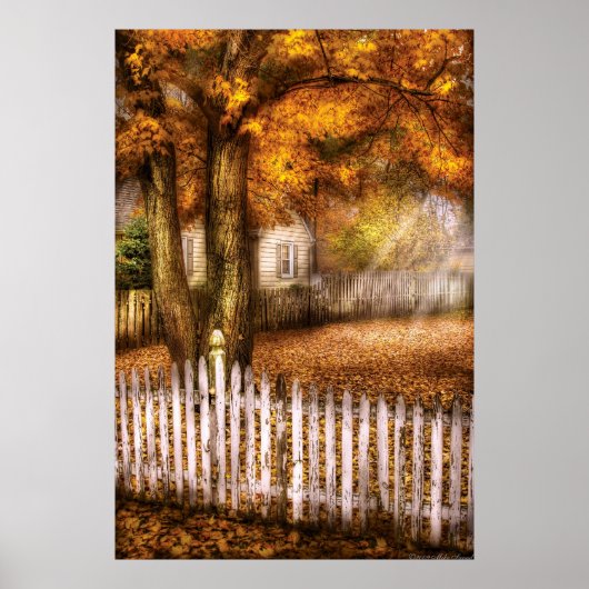 Poster Pays - Clôture en palissade blanche (Devant)