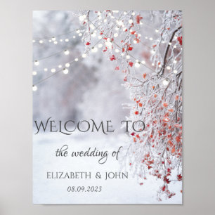 Poster Pays des merveilles d'hiver, Mariage de lumières d