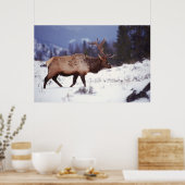 Poster Pays du cerf (Cuisine)