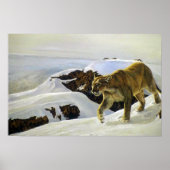 Poster Pays du Cougar (Devant)