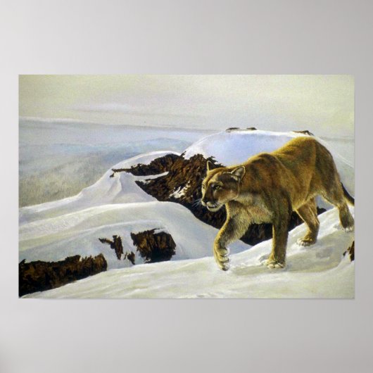 Poster Pays du Cougar (Devant)