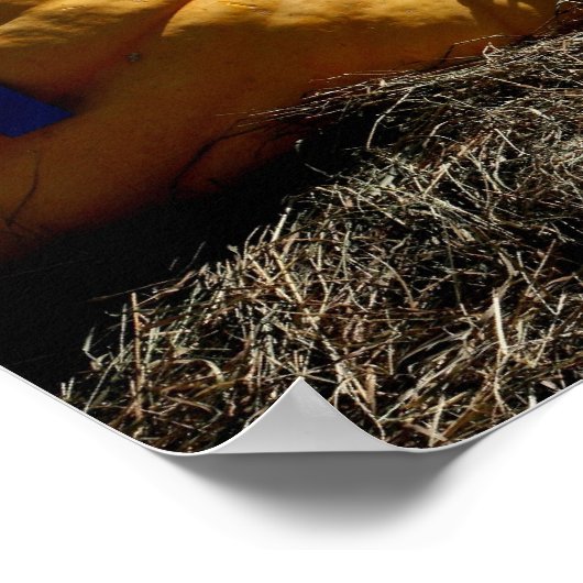 Poster Pays Fair Citrouille géant Bleu ruban (Coin)