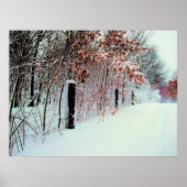 Poster Pays froid (Devant)