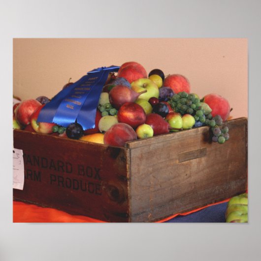 Poster Pays Fruit Premier prix Bleu Ruban (Devant)