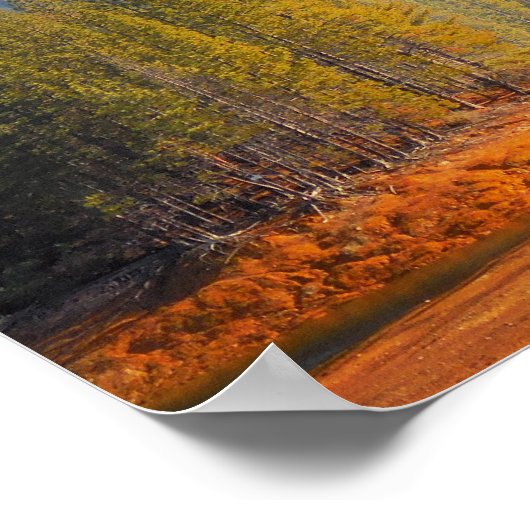 Poster Pays Gold (Coin)