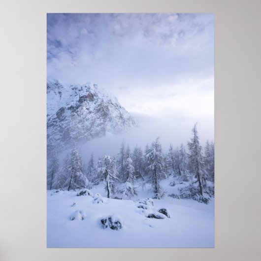 Poster Pays merveilleux d'hiver, brouillard, forêt d'épin (Devant)
