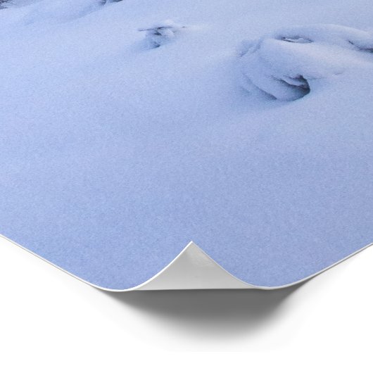 Poster Pays merveilleux d'hiver, brouillard, forêt d'épin (Coin)