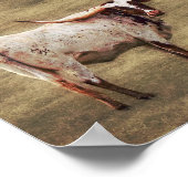 Poster Pays Photographie rustique Highland Cow (Coin)