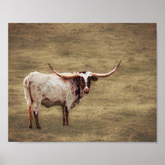 Poster Pays Photographie rustique Highland Cow (Devant)