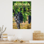 Poster Pays vinicole de Sonoma (Cuisine)
