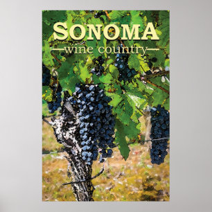 Poster Pays vinicole de Sonoma