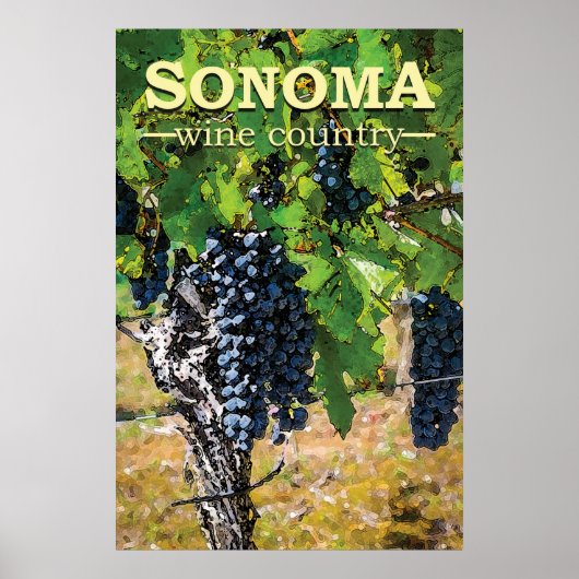 Poster Pays vinicole de Sonoma (Devant)