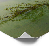 Poster Paysage (Coin)