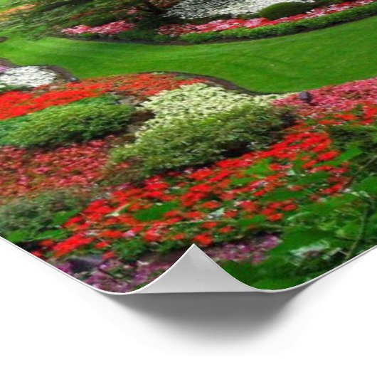 Poster paysage (Coin)