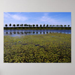 Poster Paysage