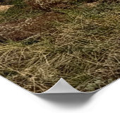 Poster Paysage abandonné (Coin)