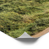 Poster Paysage africain avec éléphant (Coin)