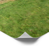 Poster paysage agricole (Coin)