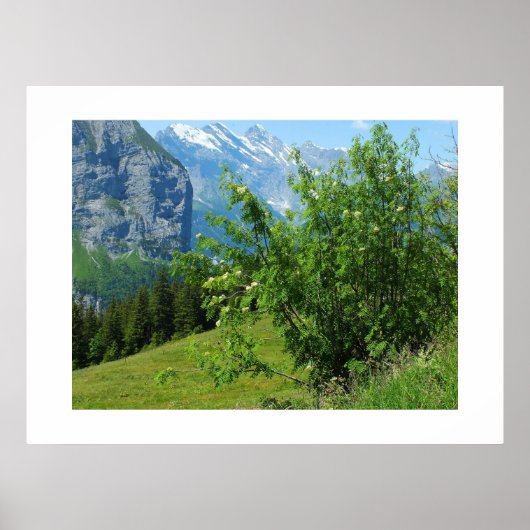 Poster Paysage alpin en Suisse (Devant)