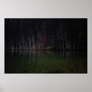 Poster Paysage arboré au lac