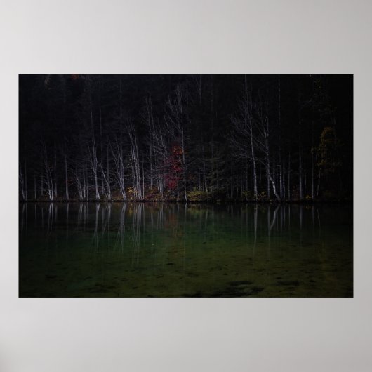 Poster Paysage arboré au lac (Devant)