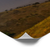 Poster Paysage Arc-En-Ciel Et Arbre (Coin)