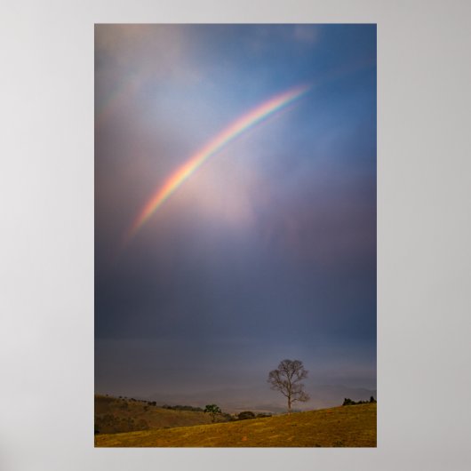 Poster Paysage Arc-En-Ciel Et Arbre (Devant)