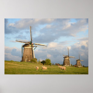 Poster Paysage avec moulins à vent et moutons