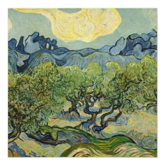 Poster Paysage avec Olive Vincent Willem van Gogh Post (Devant)