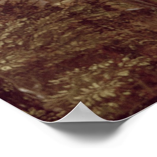 Poster Paysage avec passerelle, ch.1518-20 (Coin)