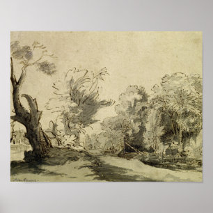 Poster Paysage avec un sentier, arbre presque mort à gauc