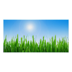 Poster Paysage bleu ciel vert-10826