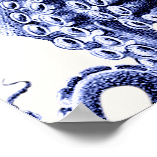 Poster Paysage Bleu Octopus (Coin)
