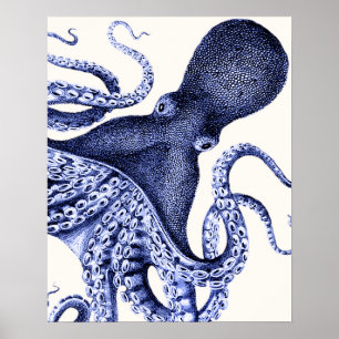 Poster Paysage Bleu Octopus