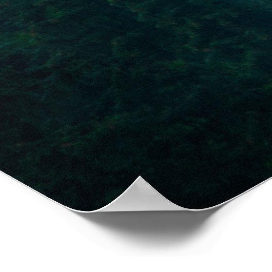 Poster Paysage bruyant avec forêt de sapins en hipster vi (Coin)
