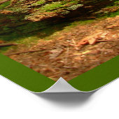 Poster Paysage canadien Art forestier de la côte ouest Im (Coin)