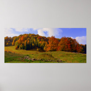 Poster Paysage coloré d'automne