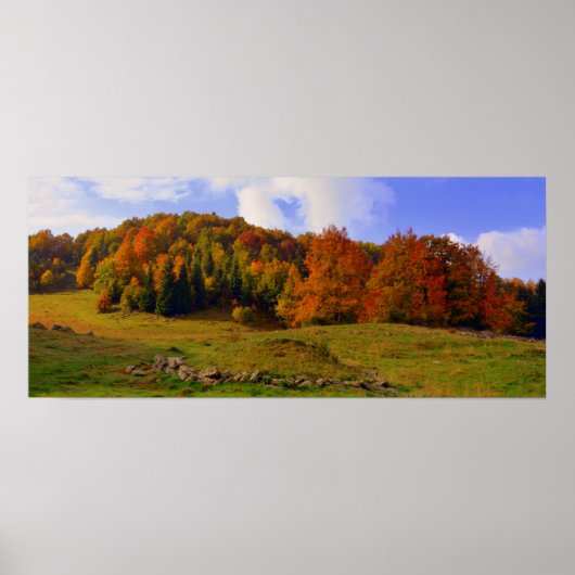 Poster Paysage coloré d'automne (Devant)