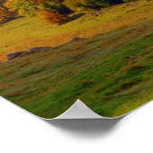 Poster Paysage coloré d'automne (Coin)