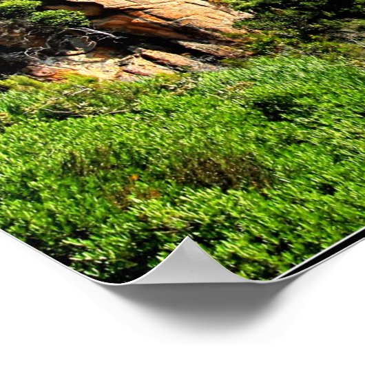 Poster Paysage corse (Coin)