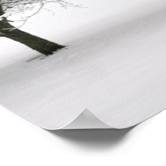 Poster Paysage couvert de neige (Coin)