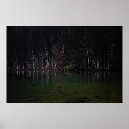 Poster Paysage d'arbres au lac (Devant)