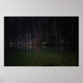 Poster Paysage d'arbres au lac (Devant)