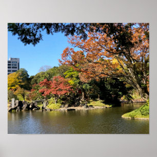 Poster Paysage d'arbres colorés dans le jardin japonais