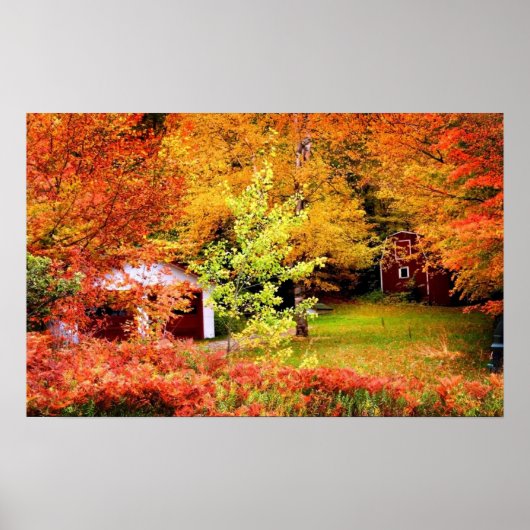 Poster Paysage d'automne (Devant)