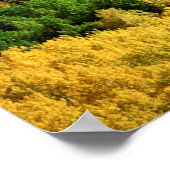 Poster Paysage d'automne (Coin)